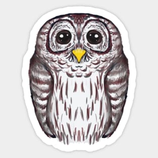 Barred Owl Sticker